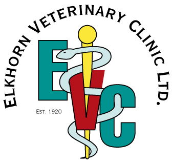 EVC logo