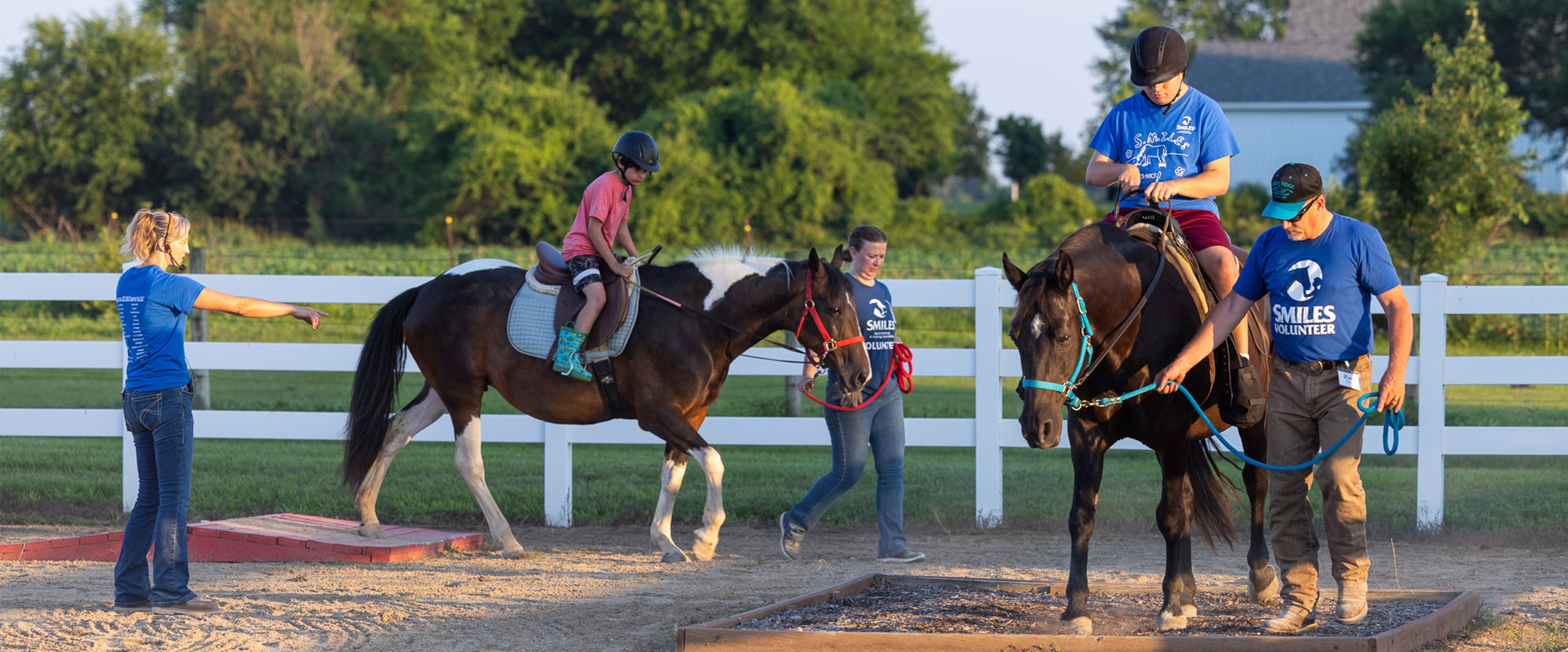 group of horses on a ride