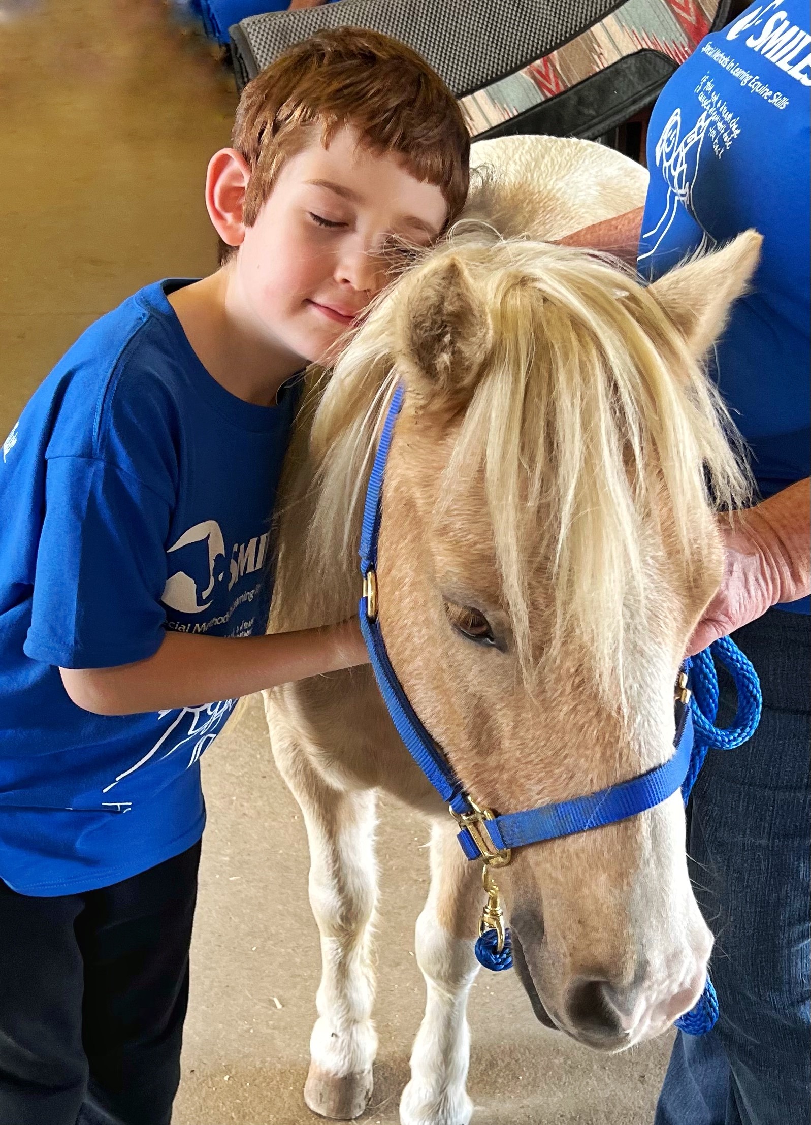 boy hugging pony