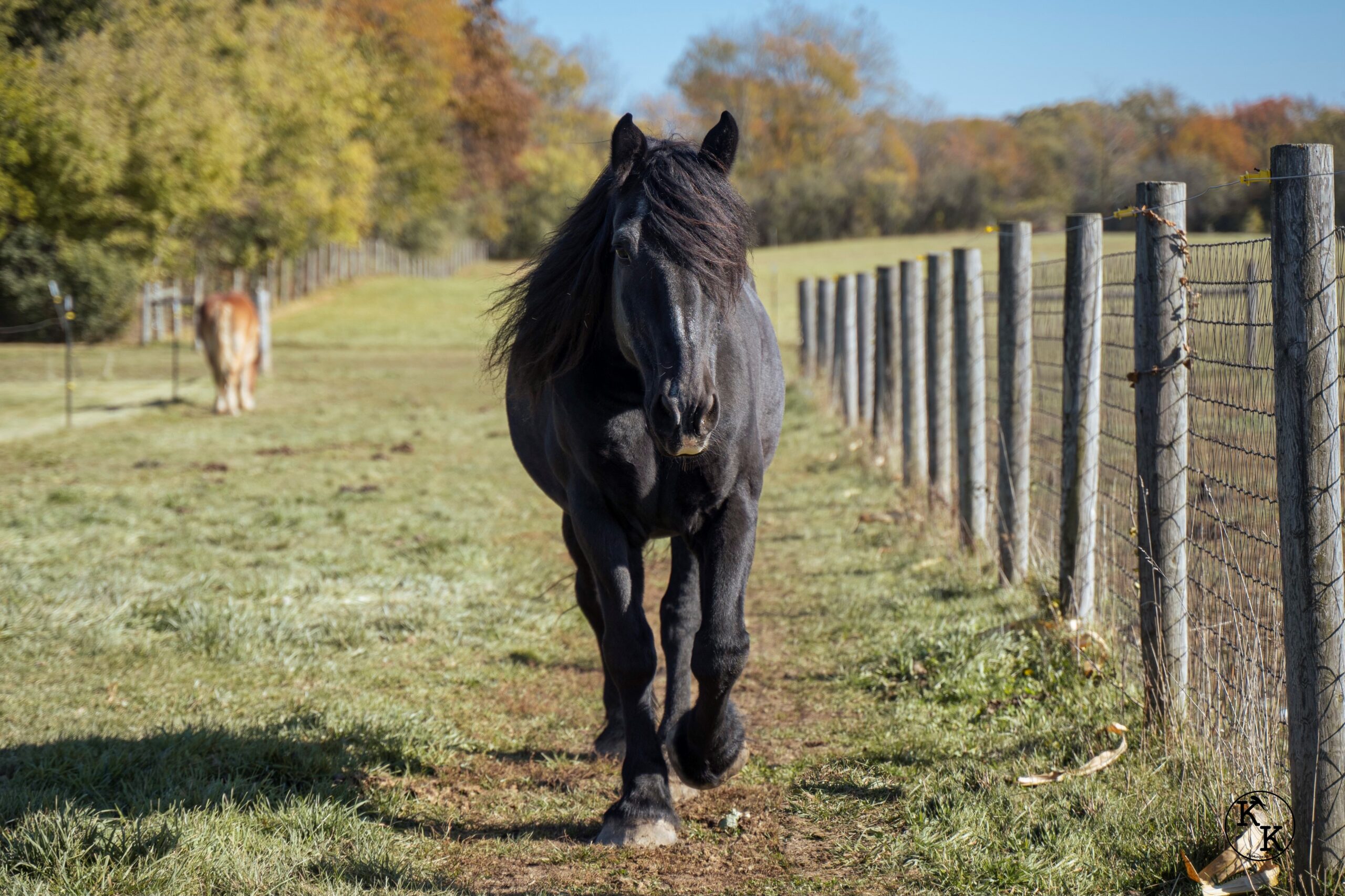 Valentine for Lincoln