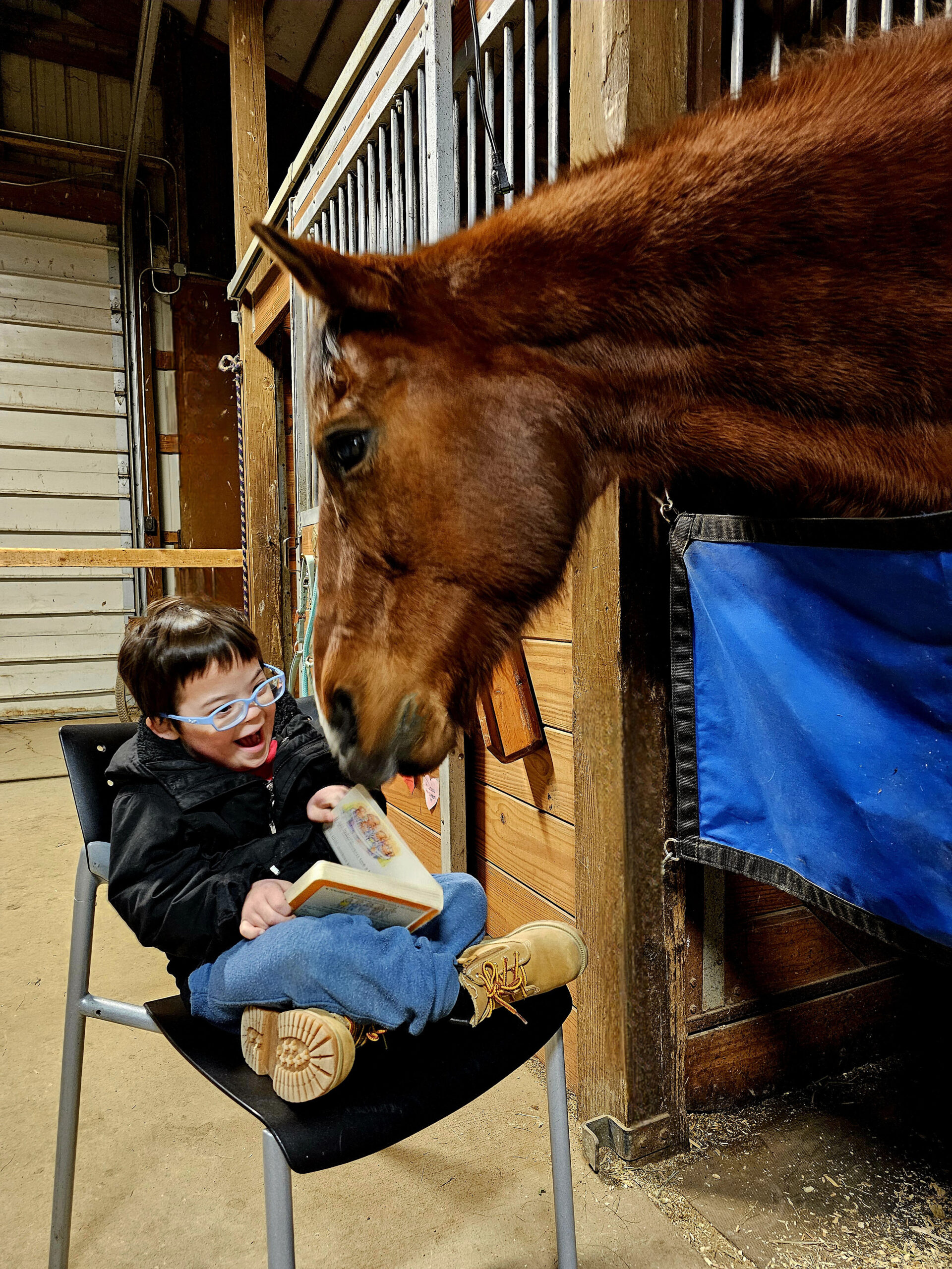 child reading to horse