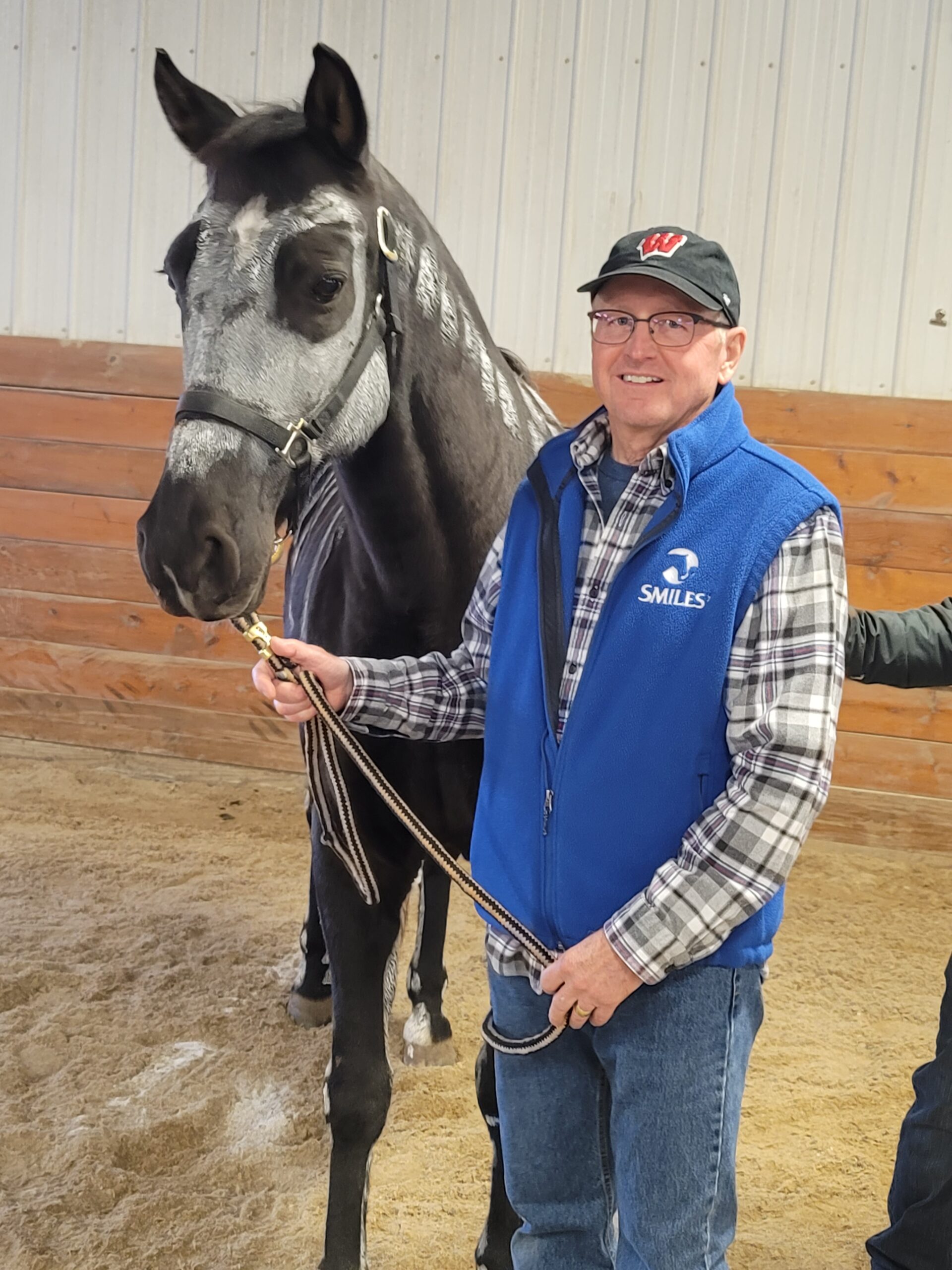 horse dressed up as skeleton