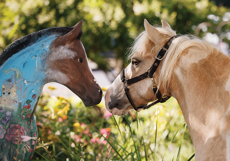 pony with horse statue