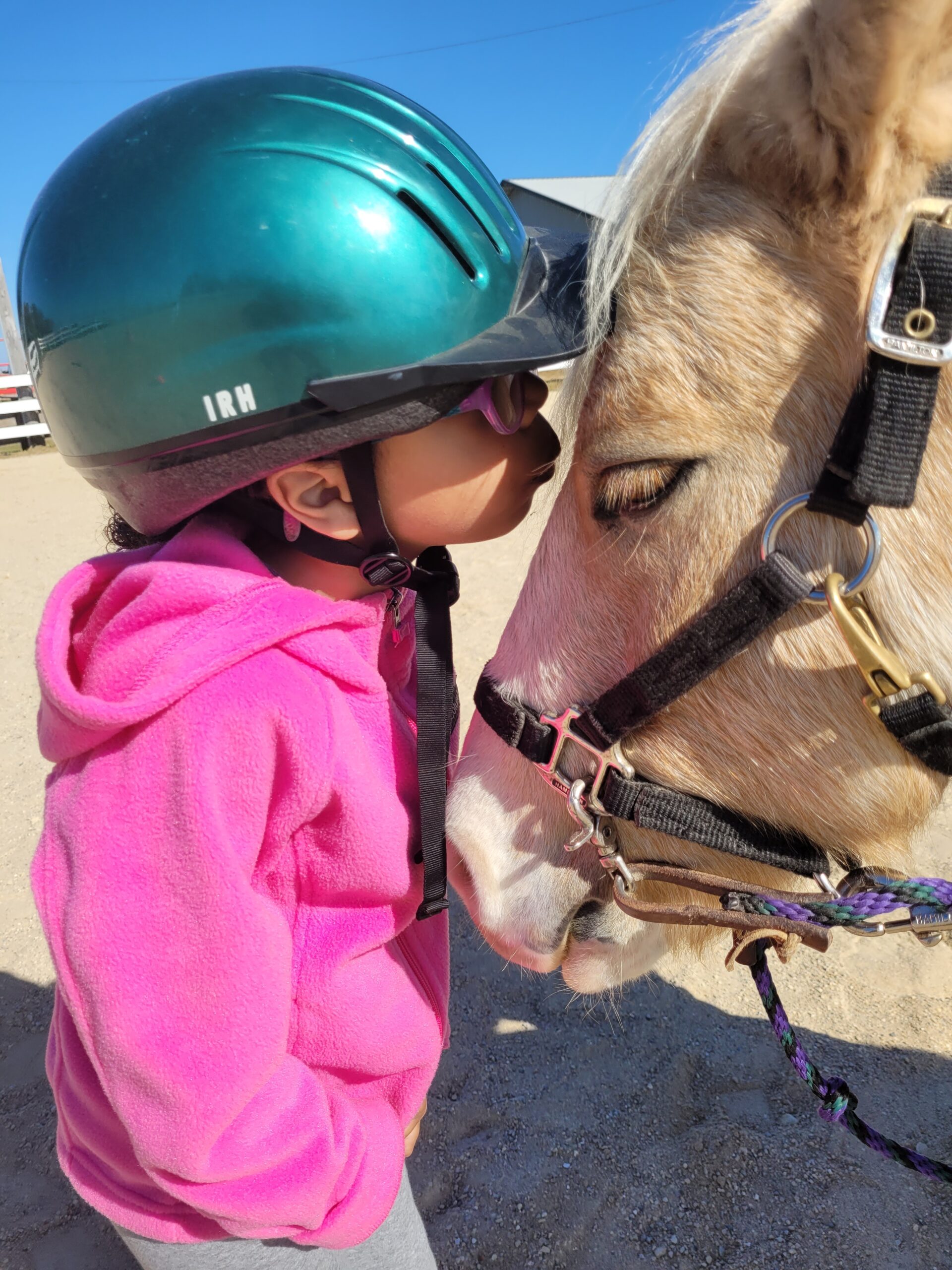 little girl with pony