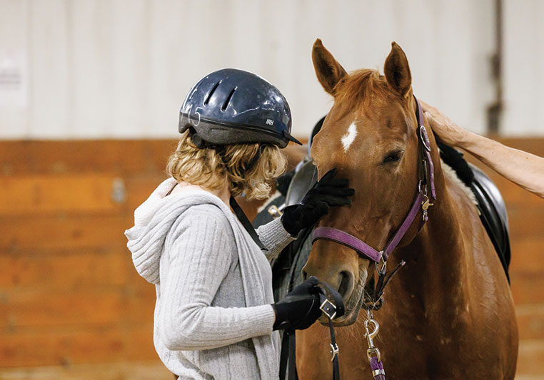 person petting brown horse