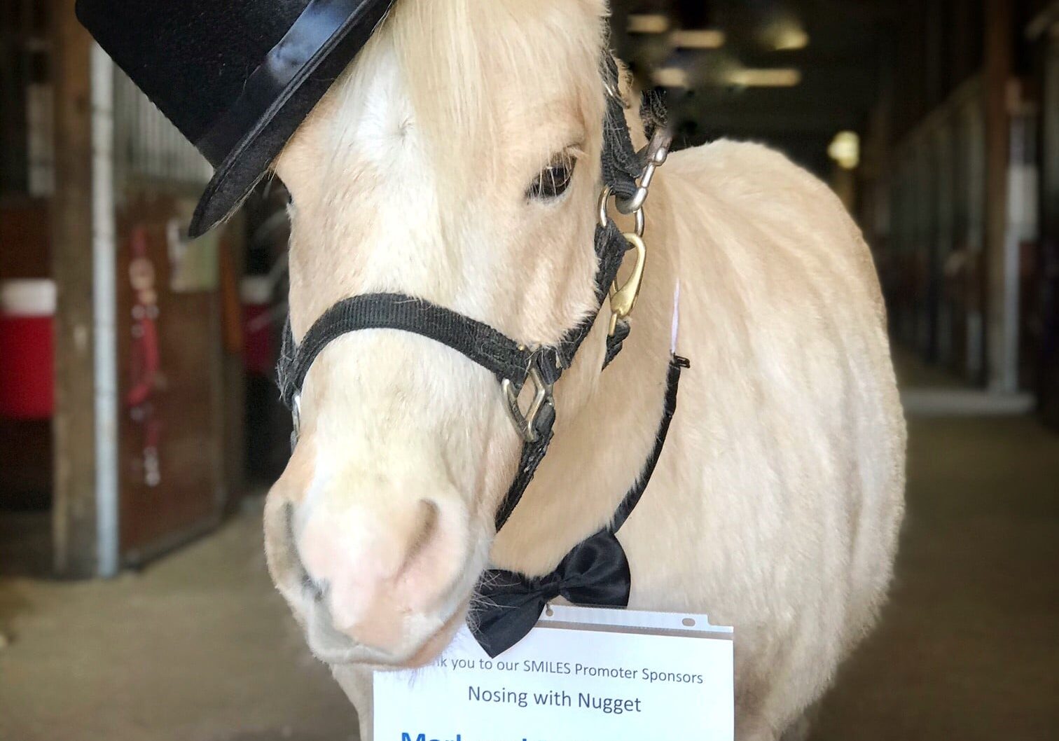 Nosing with Nugget Top Hat