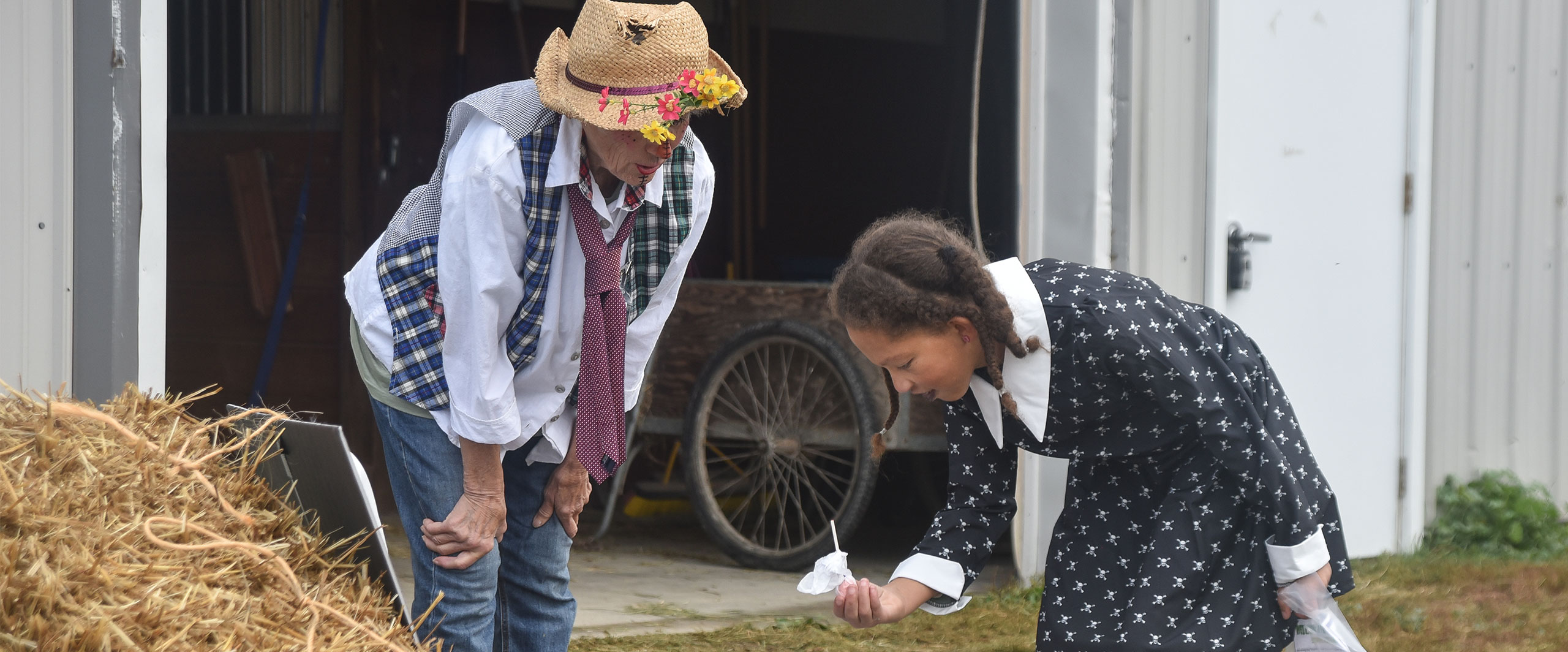 trick or treating at horse barns
